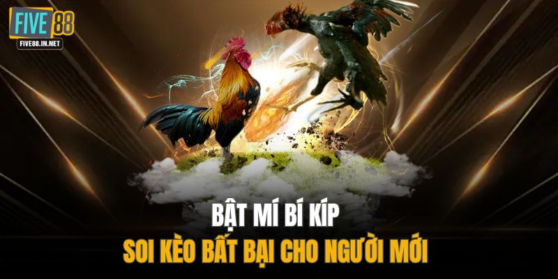 Bật mí bí kíp soi kèo bất bại cho người mới