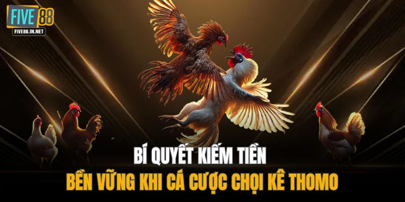 Bí quyết kiếm tiền bền vững khi cá cược chọi kê Thomo